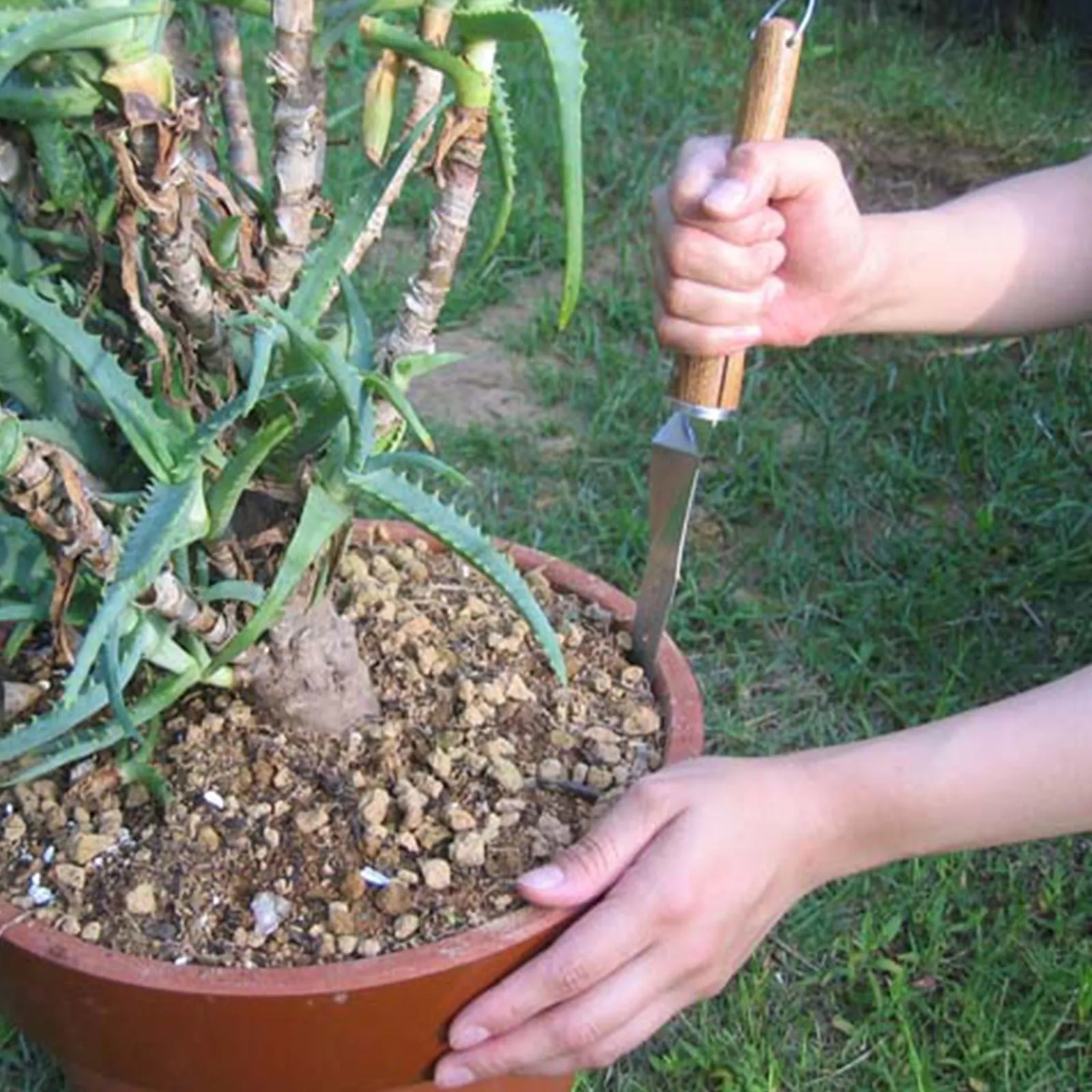 Nisaku Stainless Steel Potted Plants Master, 10-Inch Blade